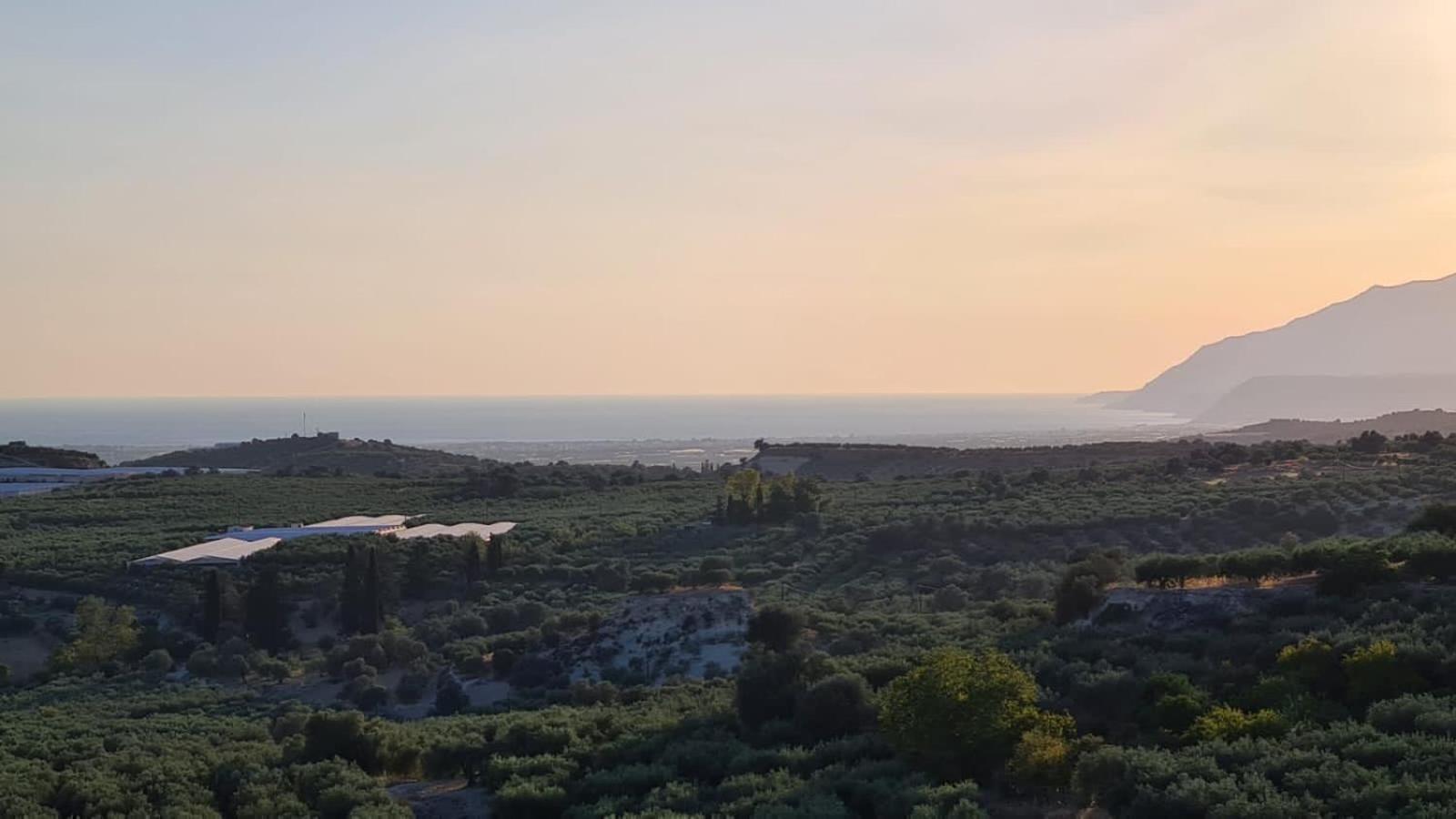 Villa Kamelia-Renovated Old House-South Crete Galiá Eksteriør bilde