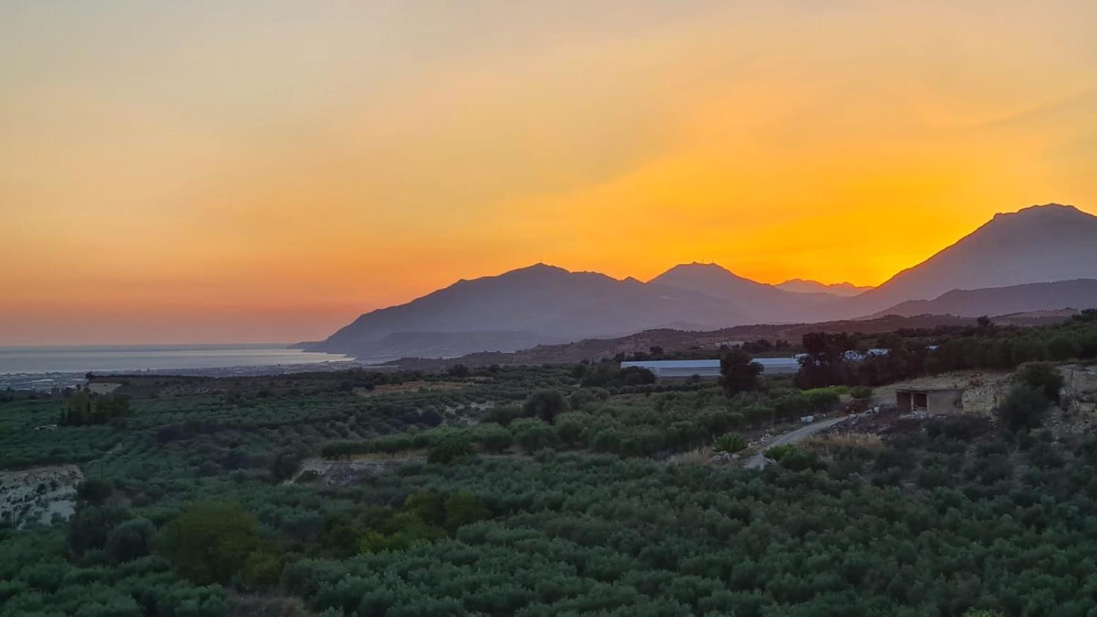 Villa Kamelia-Renovated Old House-South Crete Galiá Eksteriør bilde